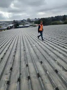 Factory Roofing