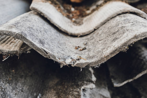 Asbestos Roof Replacement Durban North